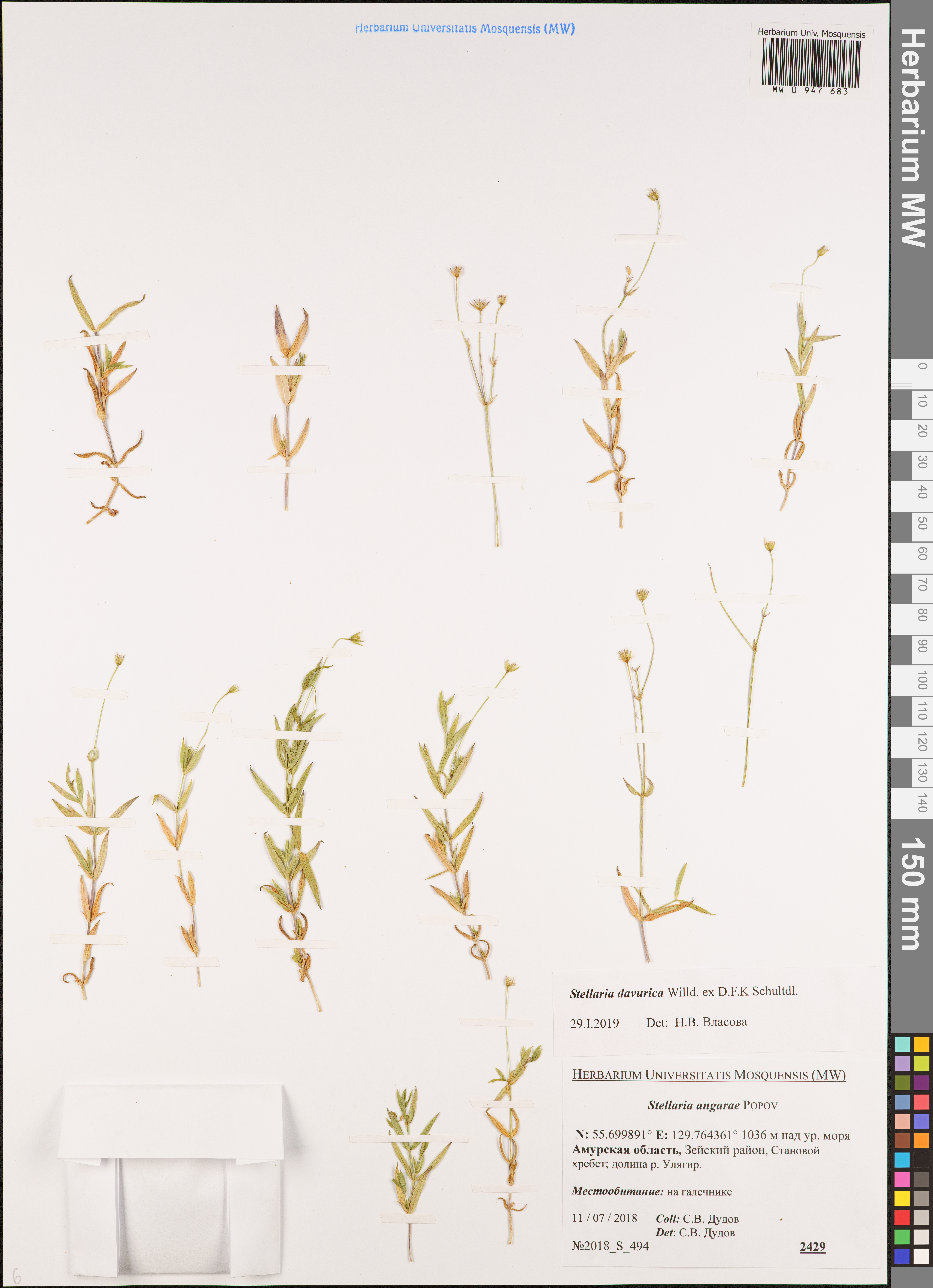 ���������� ���������