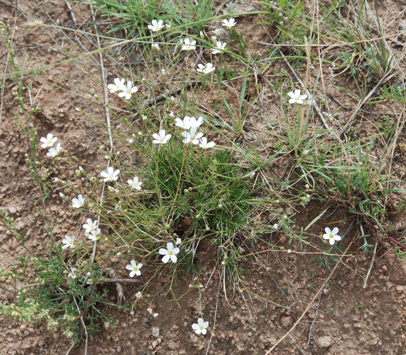 ��������� ������