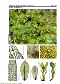 ����� �������������