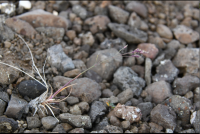 ������ ����������������