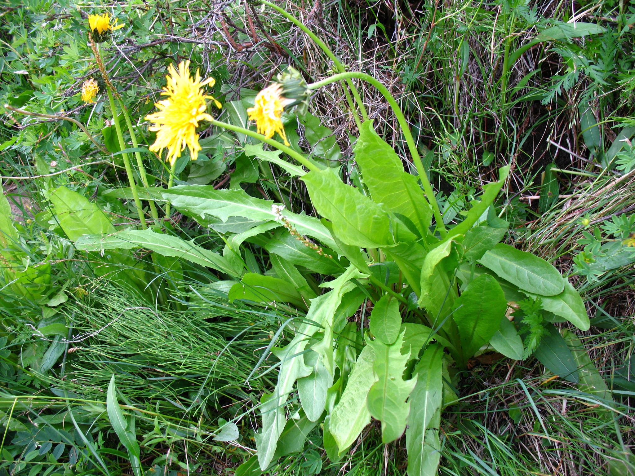 ��������� ���������