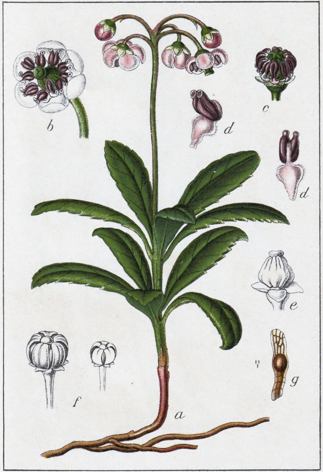 ��������� ���������