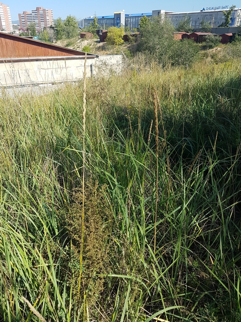 �������� ����������