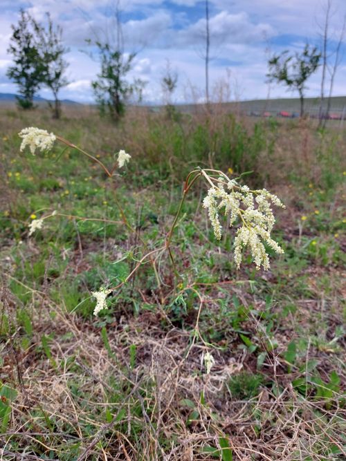 ������� �������������