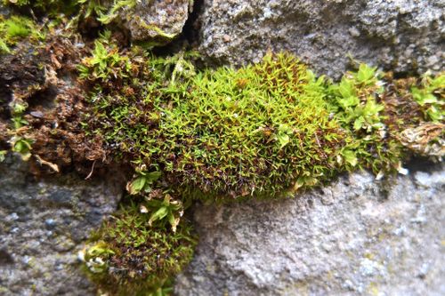 ���������������� ������������