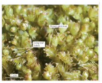 ������� �����������