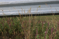 �������� �����������