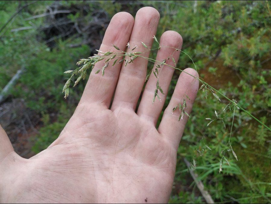 ������ ����������������