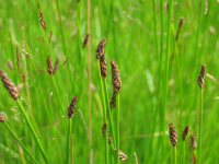 ��������� ����������