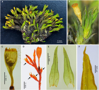 ��������� ������������