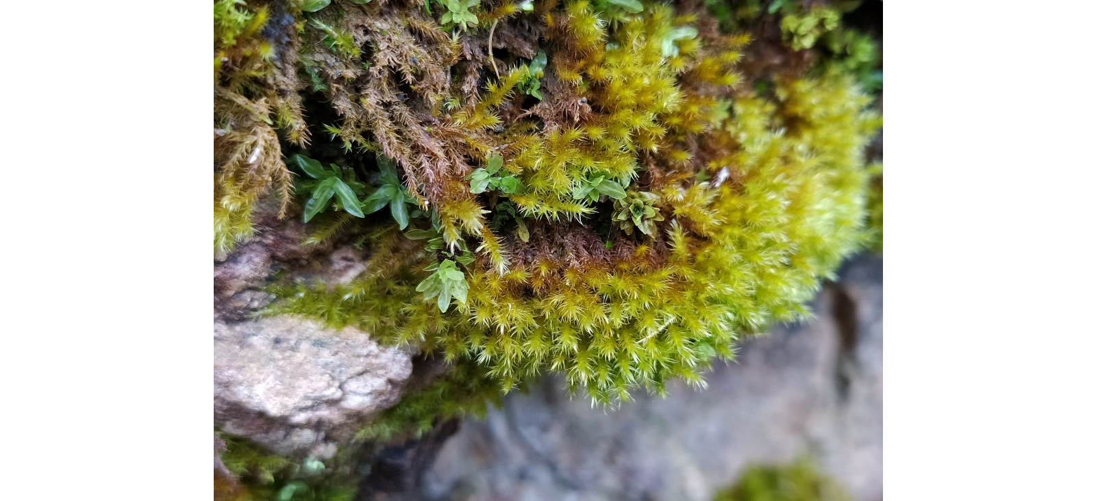 ��������������� ����������������