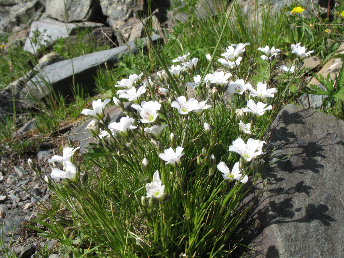 ��������� ��������