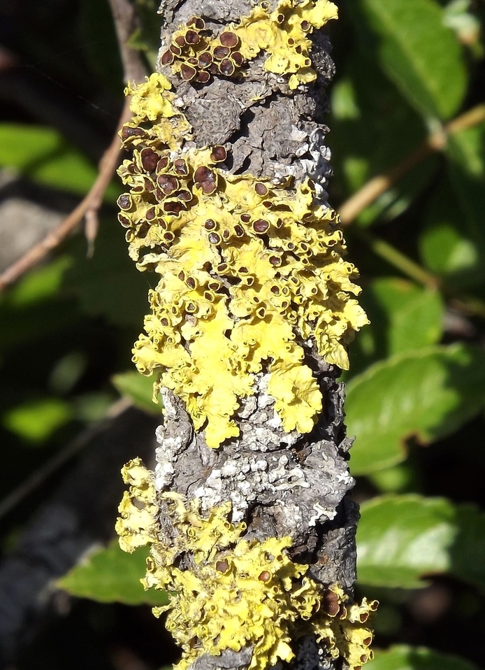 ���������� ����������������, ���������� ������������, �������� ����������������