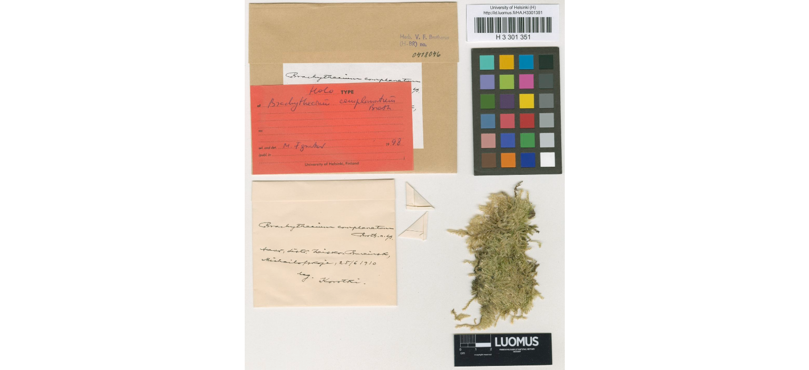 ����������� ����������