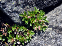 ��� ����������������