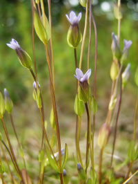 ��������� ������