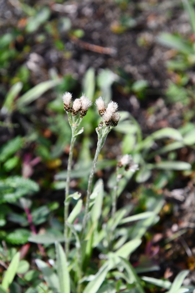 ������� ����� �����������