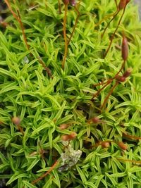 ���������������� ����������