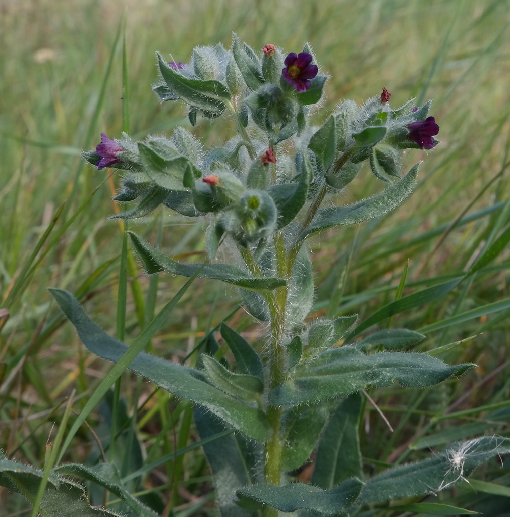 ����� �������