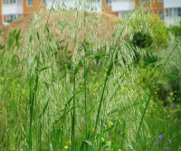 ���� ��������