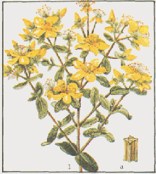 �������� ���������, ��� ��������������