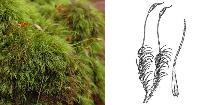 ���������� �����������������