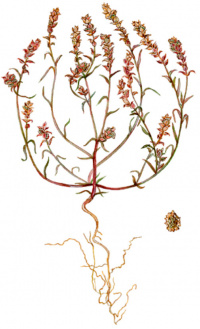 ��������� �������������