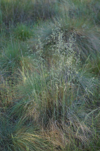 �������� �������