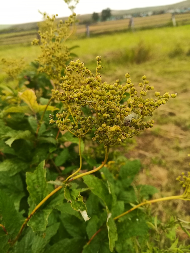 �������� �����������