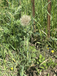 ������������� ����������������