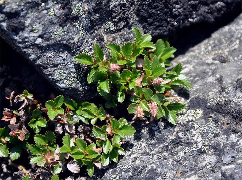 ��� ����������������