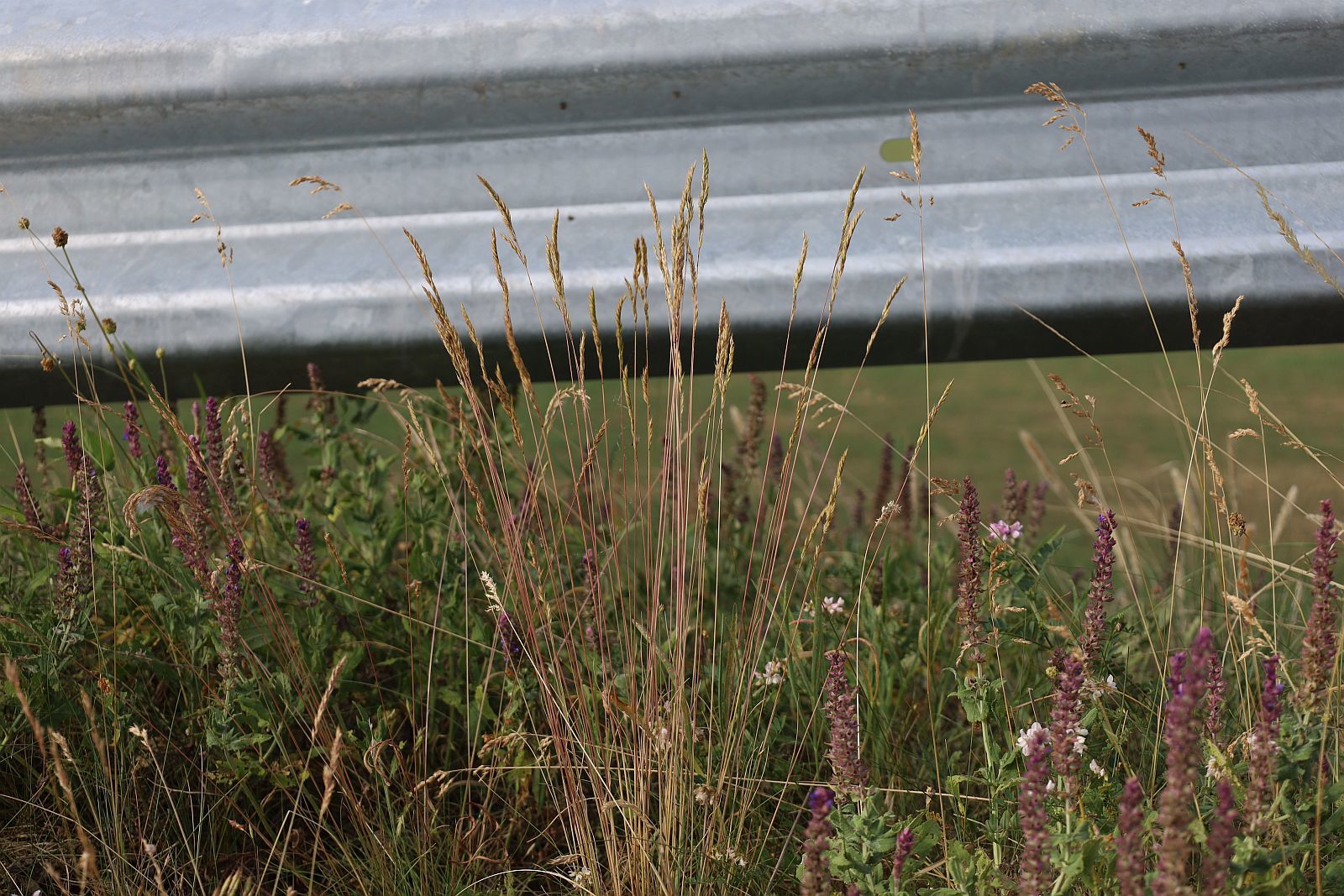 �������� �����������