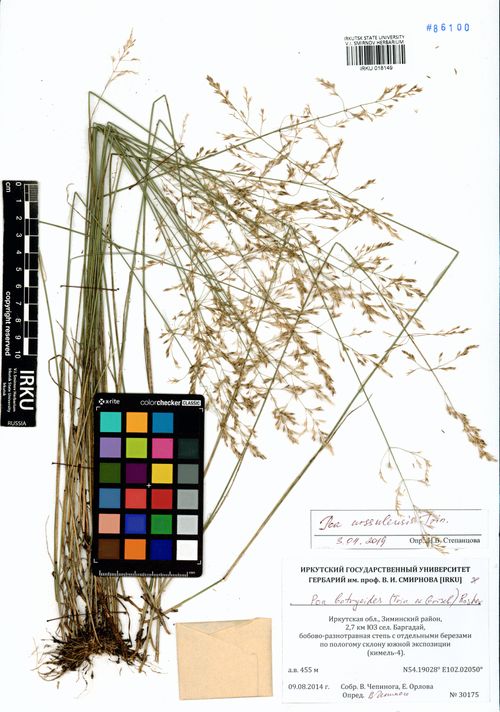 ������ ����������