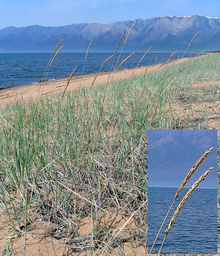 �������� ������