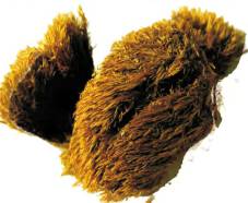 �������� ������������