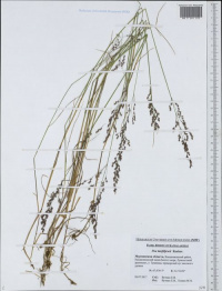 ������ ����������