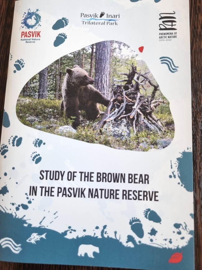 Study of brown bear in the Pasvik Nature Reserve