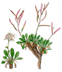 ��������� ������������� [��������� �������]