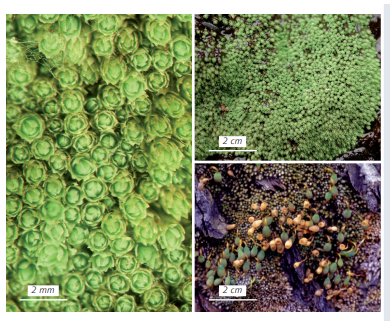 ������������ ����������