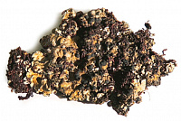 ����������� ���������������