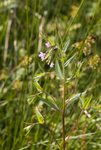 ������ �������������������