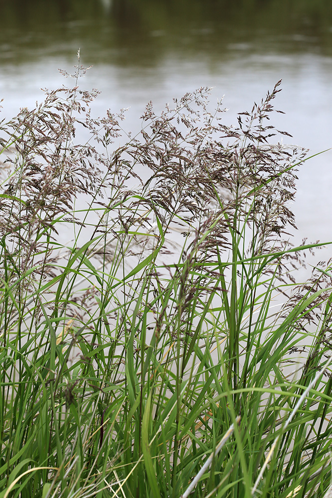 ������ ����������������