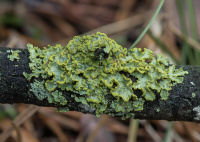 ���������� ��������, �������� ��������