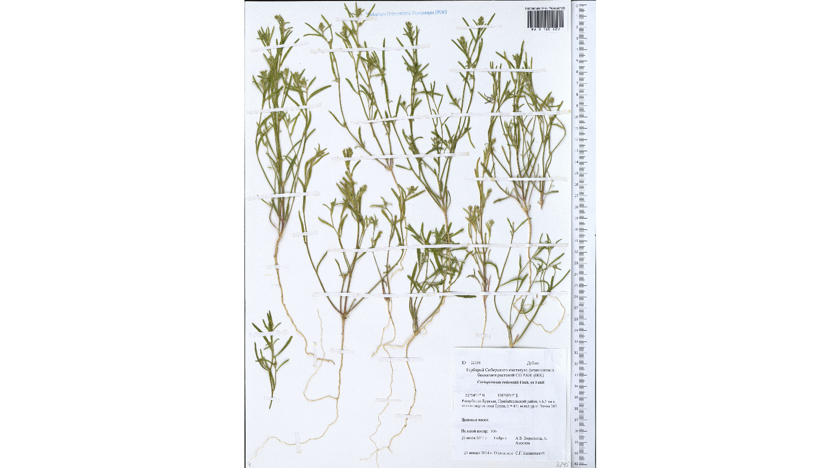 ��������� ����������